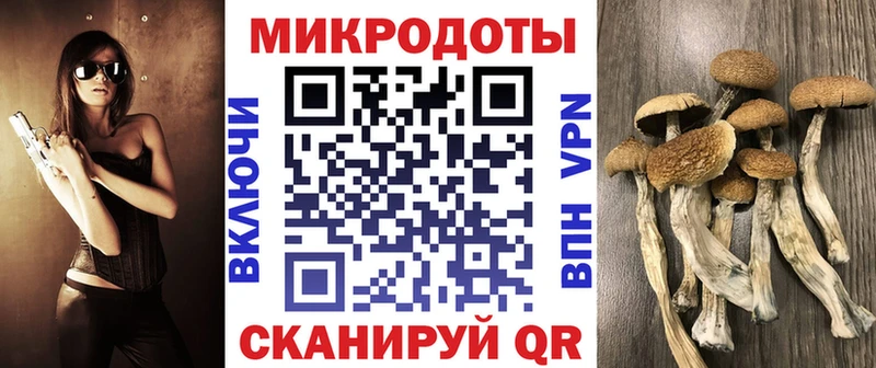 ОМГ ОМГ   Югорск  Галлюциногенные грибы Psilocybe 