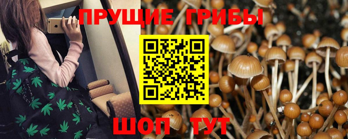Галлюциногенные грибы мицелий Югорск